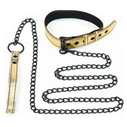Bondage Fetish -Metallic Gold pup collar with leash