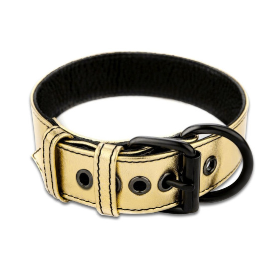 Bondage Fetish -Metallic Gold pup collar with leash