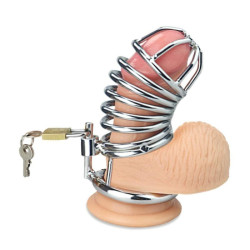 Jailed Metal Chastity Cage